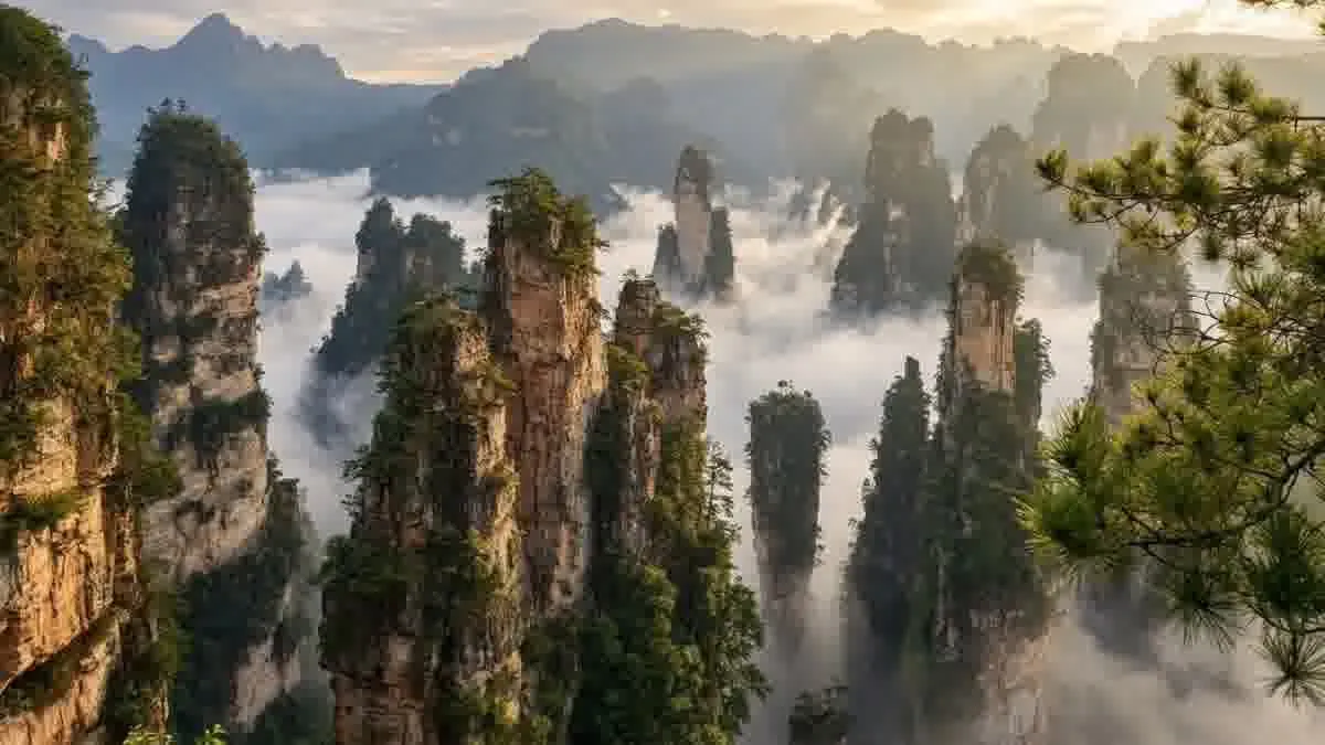 Die majestätischen Felssäulen von Zhangjiajie im Nebel