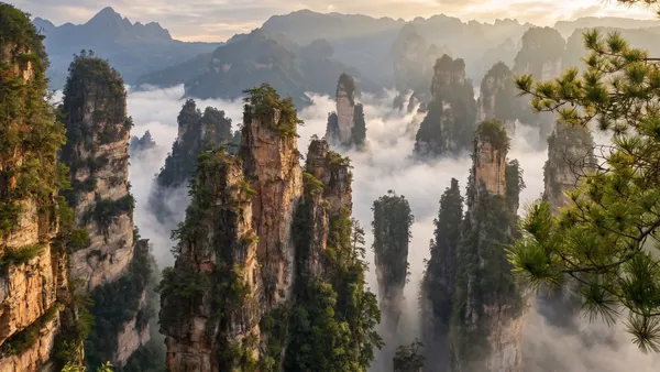 Zhangjiajie – Felsnadeln im Nebel