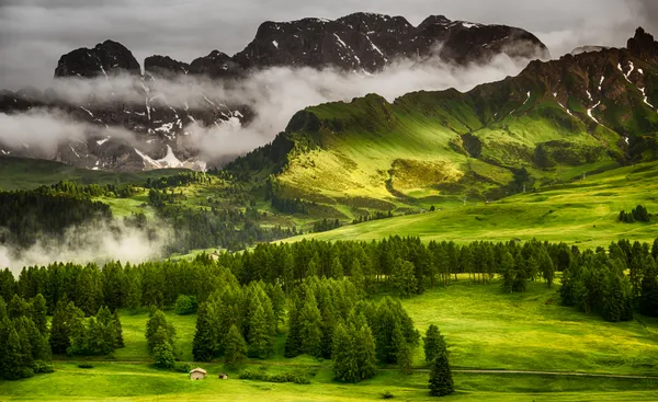 Grüne Almen | Italien