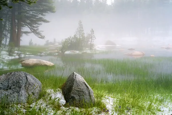 Foggy Lake | Yosemite NP
