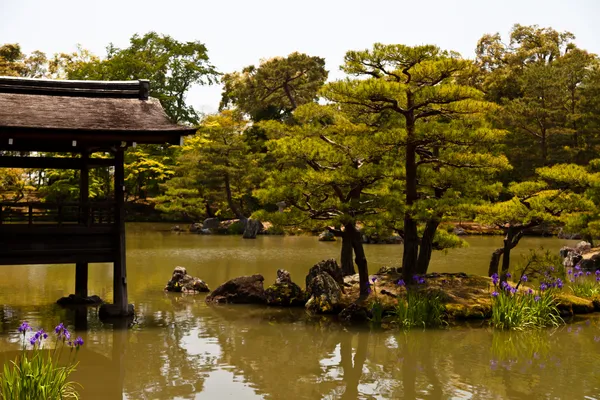 Japanischer Garten mit Teich