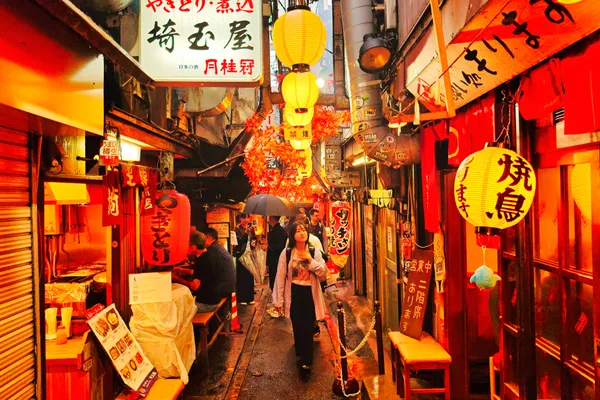 Woman in Shinjuku Alley