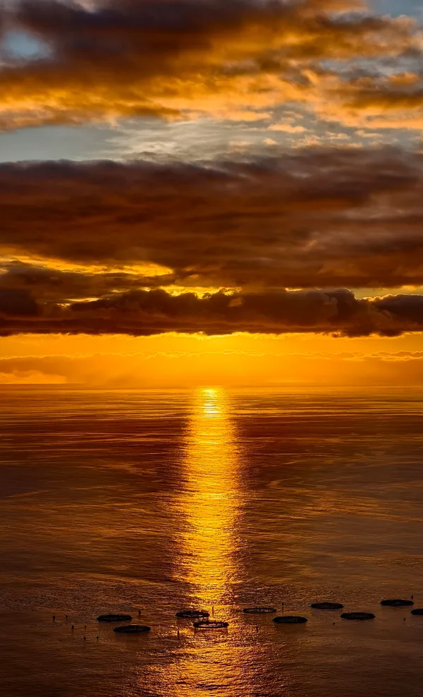 Goldener Sonnenuntergang